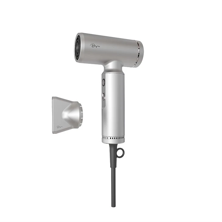 Lightweight Professional Hair Dryer